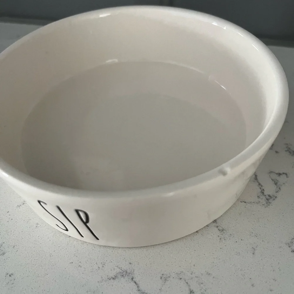 Rae Dunn Pet Water Bowl